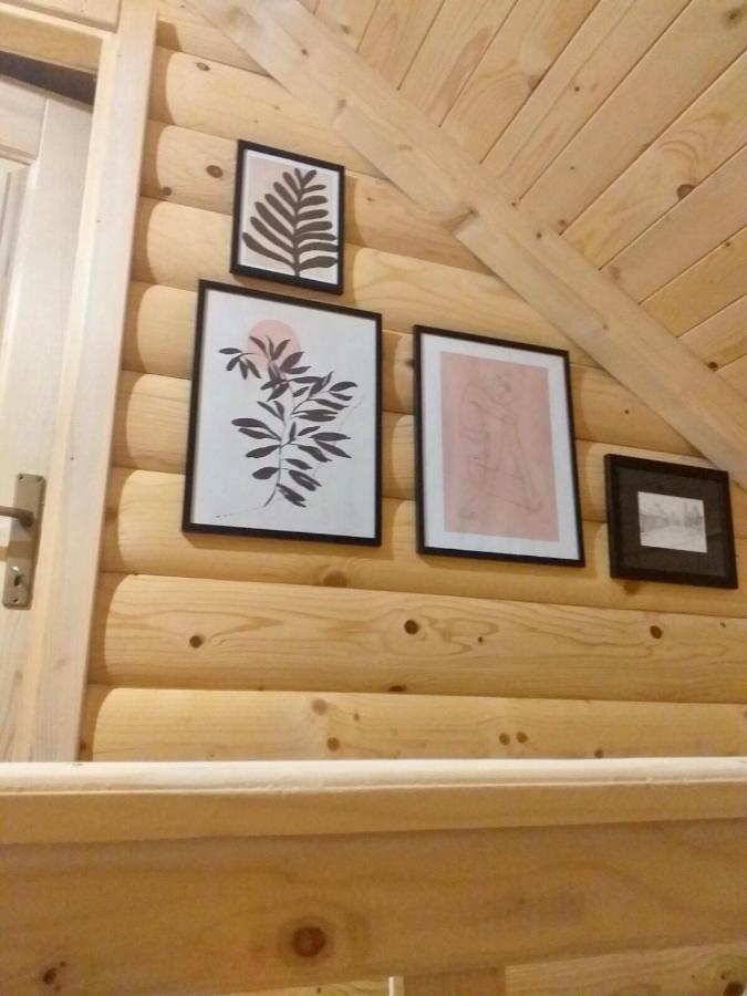 Villa Rustic House Kolašin Esterno foto