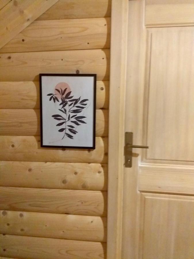 Villa Rustic House Kolašin Esterno foto